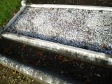 image of grave number 178925
